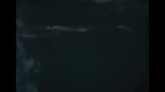 Widows Bay S01E09 Emergency Shelter 1080p ENGLISH SUBT