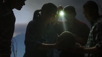 Mysteries Of Ancient Medicine S01E02 WEB H264-RBB